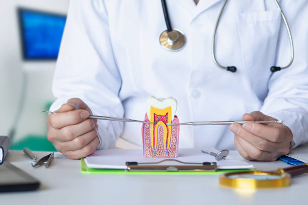 Best Emergency Root Canal Treatment in Eatonville, FL